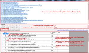 Screemshot vom Google Index Checker