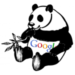 Das Google Panda Update