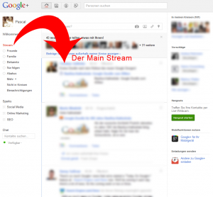 Der Google Plus Main Stream